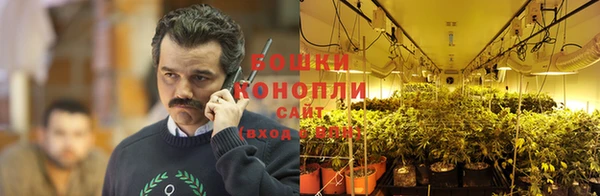 соль ск Осинники