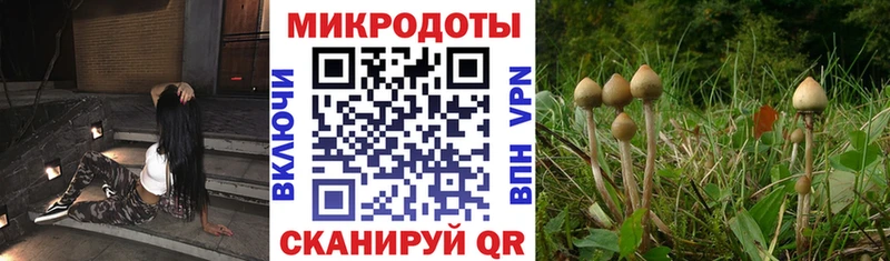 Галлюциногенные грибы MAGIC MUSHROOMS Пересвет